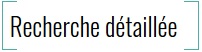 Icône Recherche détaillée