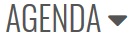 Icône Agenda