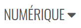 Icône Numérique
