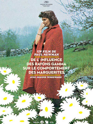 marguerite1