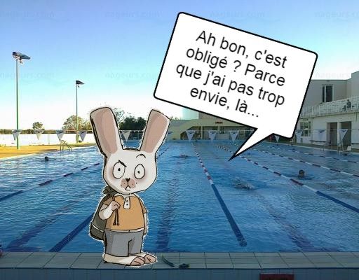 Lapin Louchard 02 1